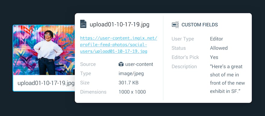 Image alongside custom fields for categorization