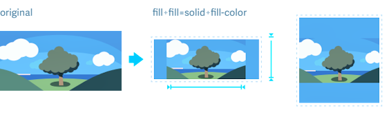 Example of how fill works