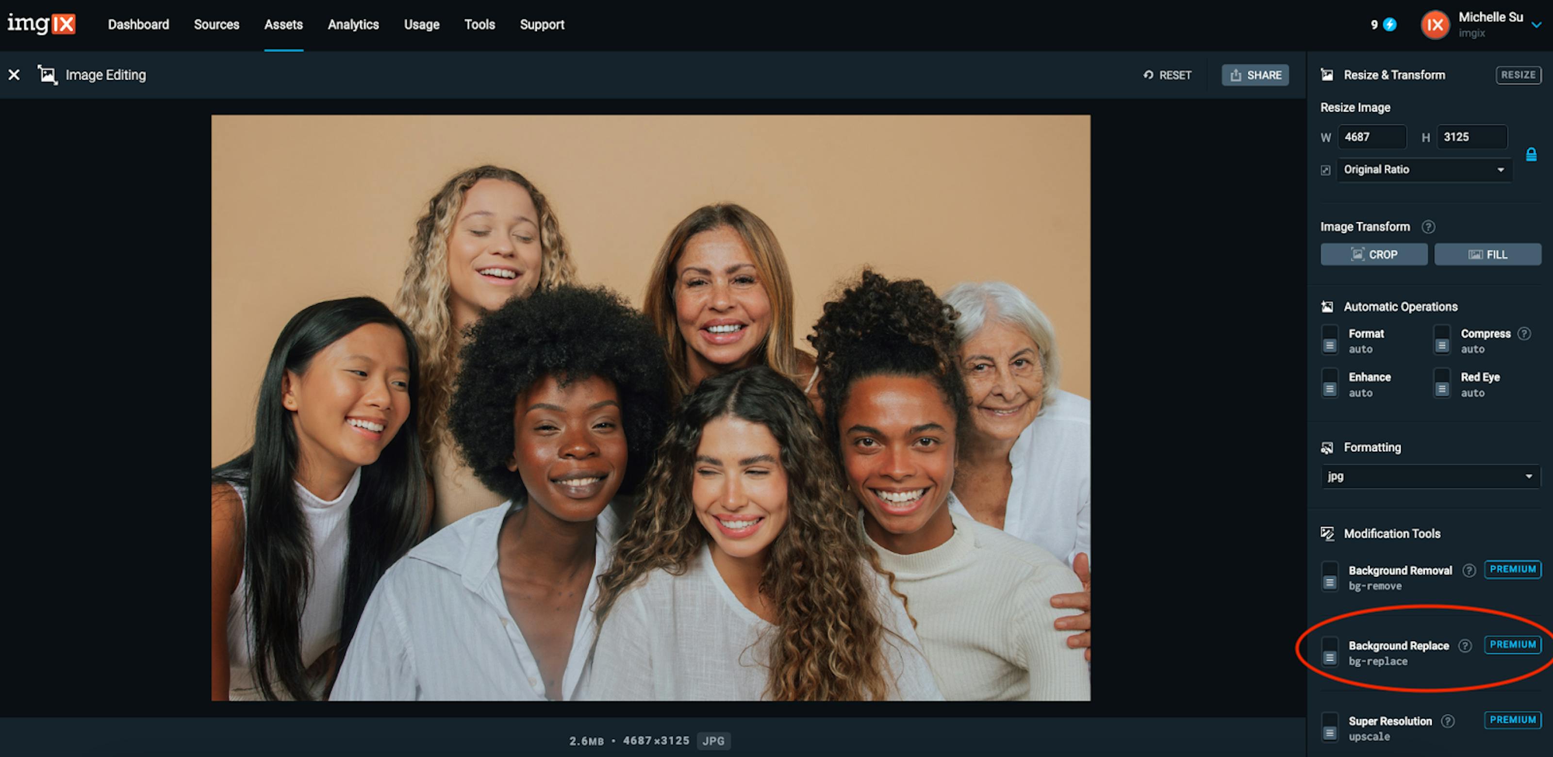Image example before the background is removed