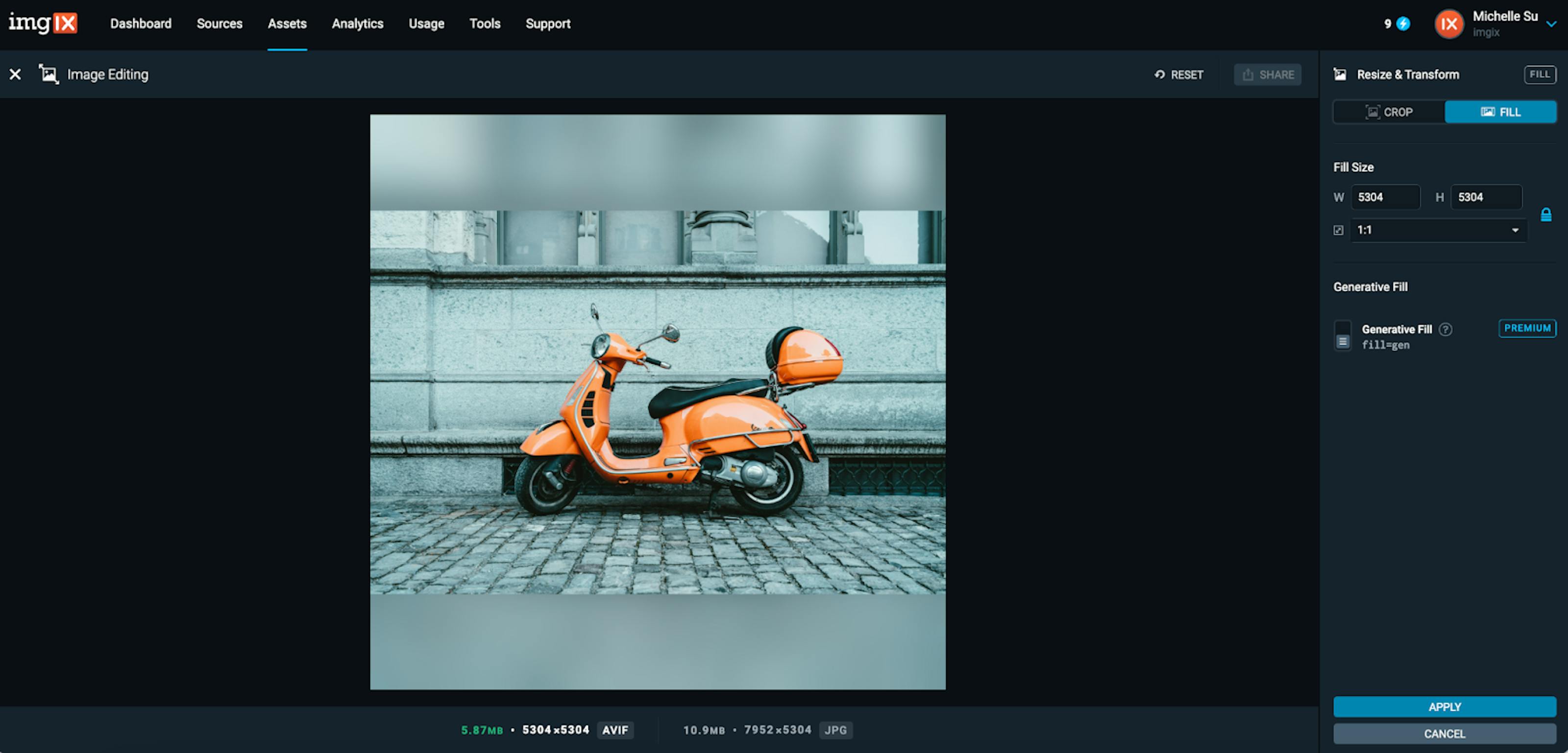 Cropped Image example before AI parameters