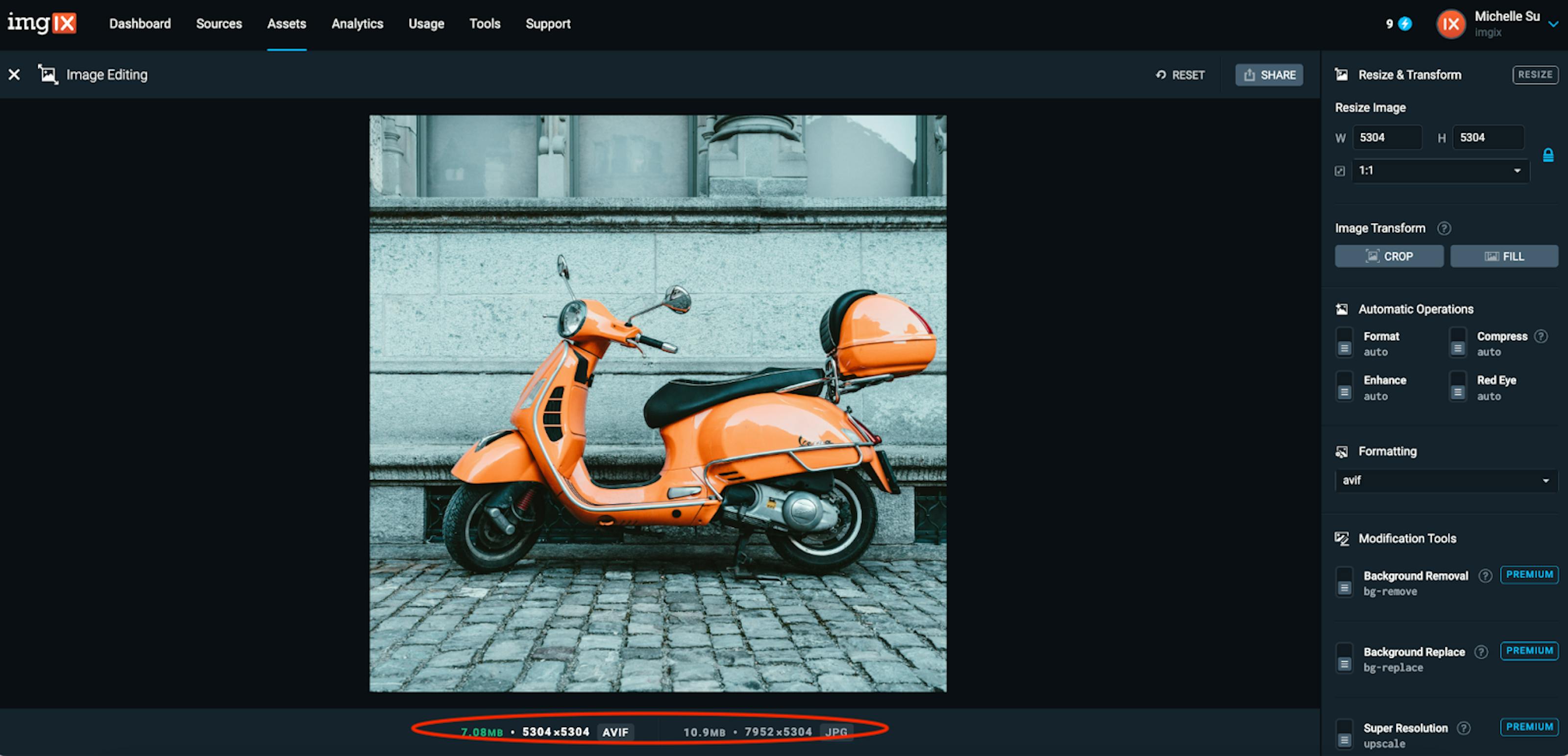 Image example after using the format parameter