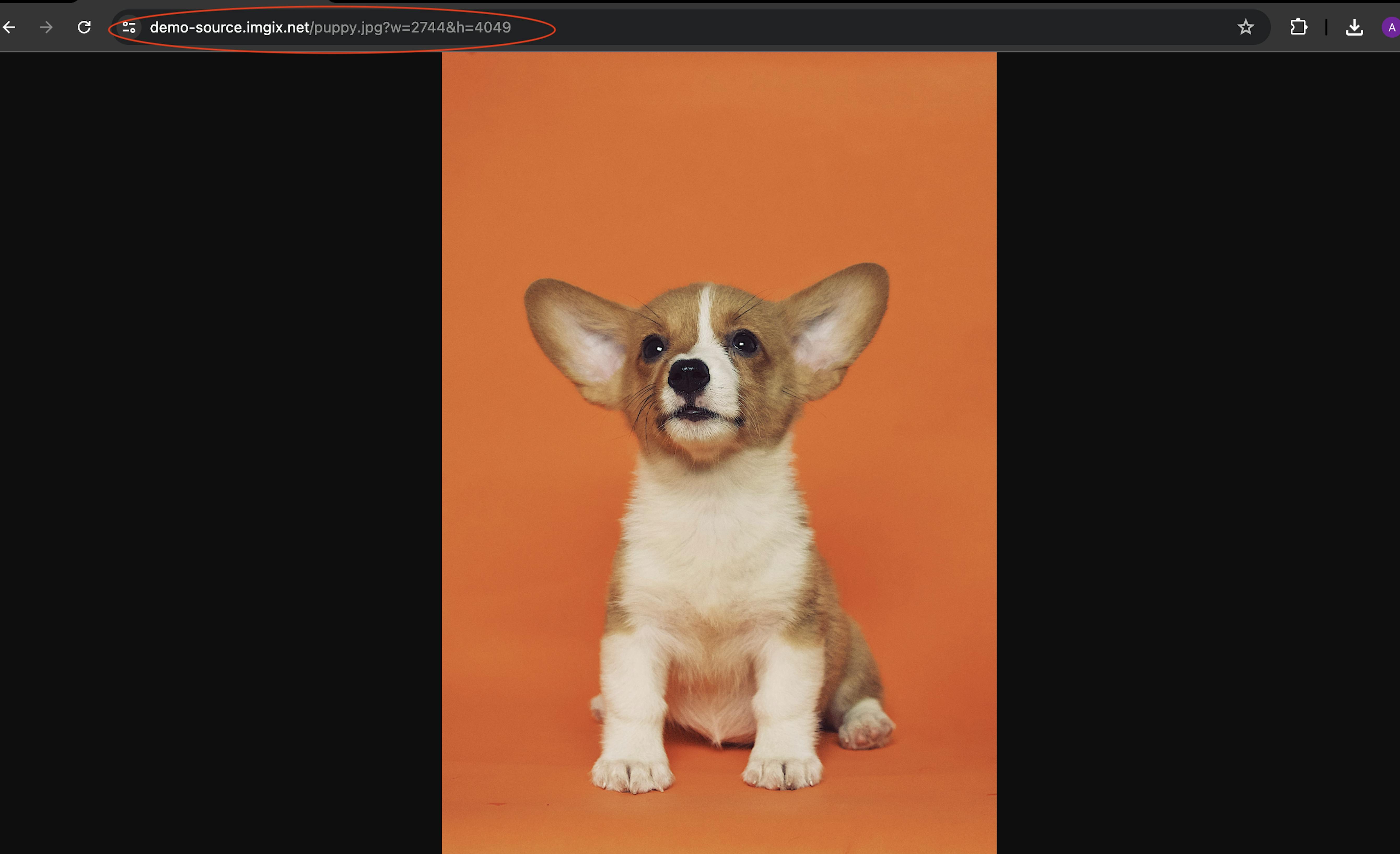 Image example showing a URL with sizing parameters