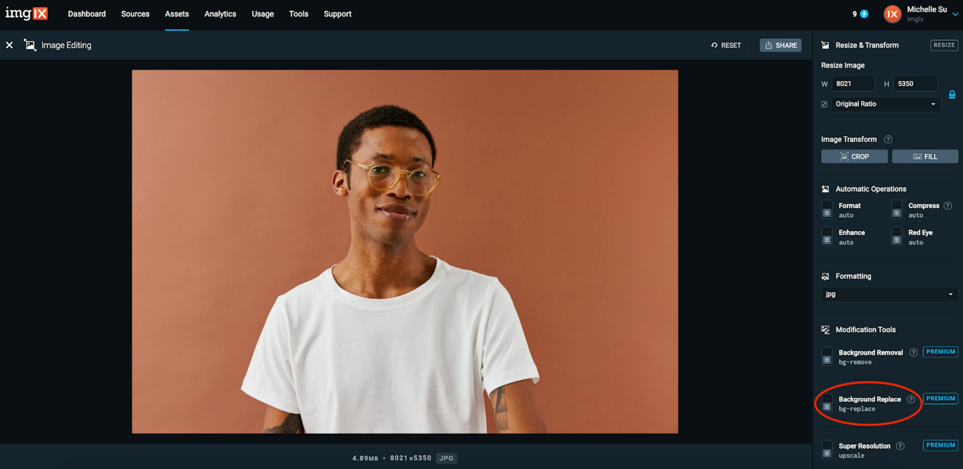 Image example before the background is replaced