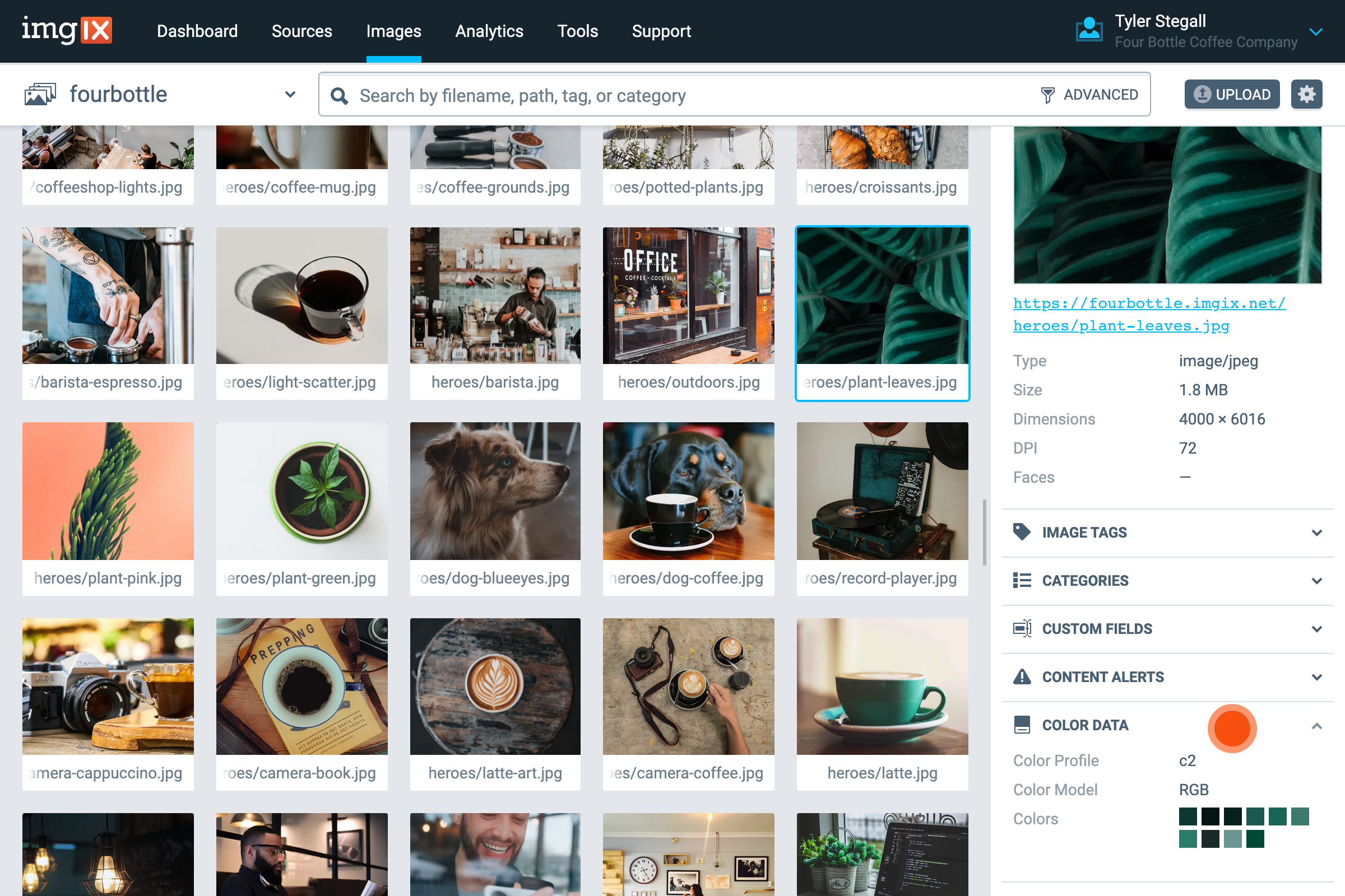 Screenshot of color data