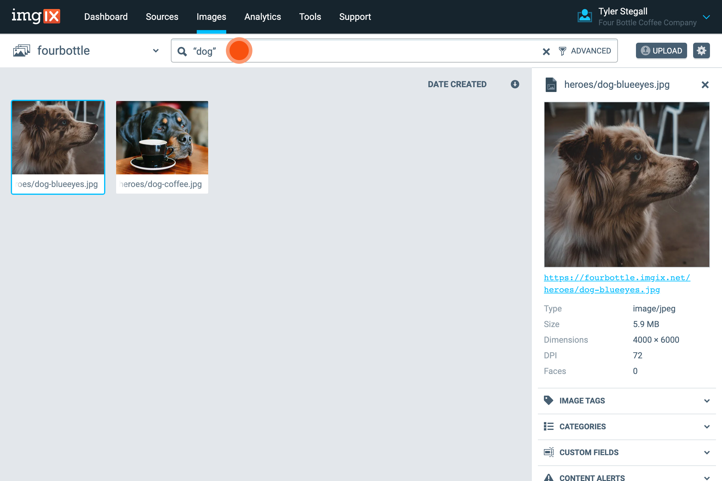 Screenshot of keyword search