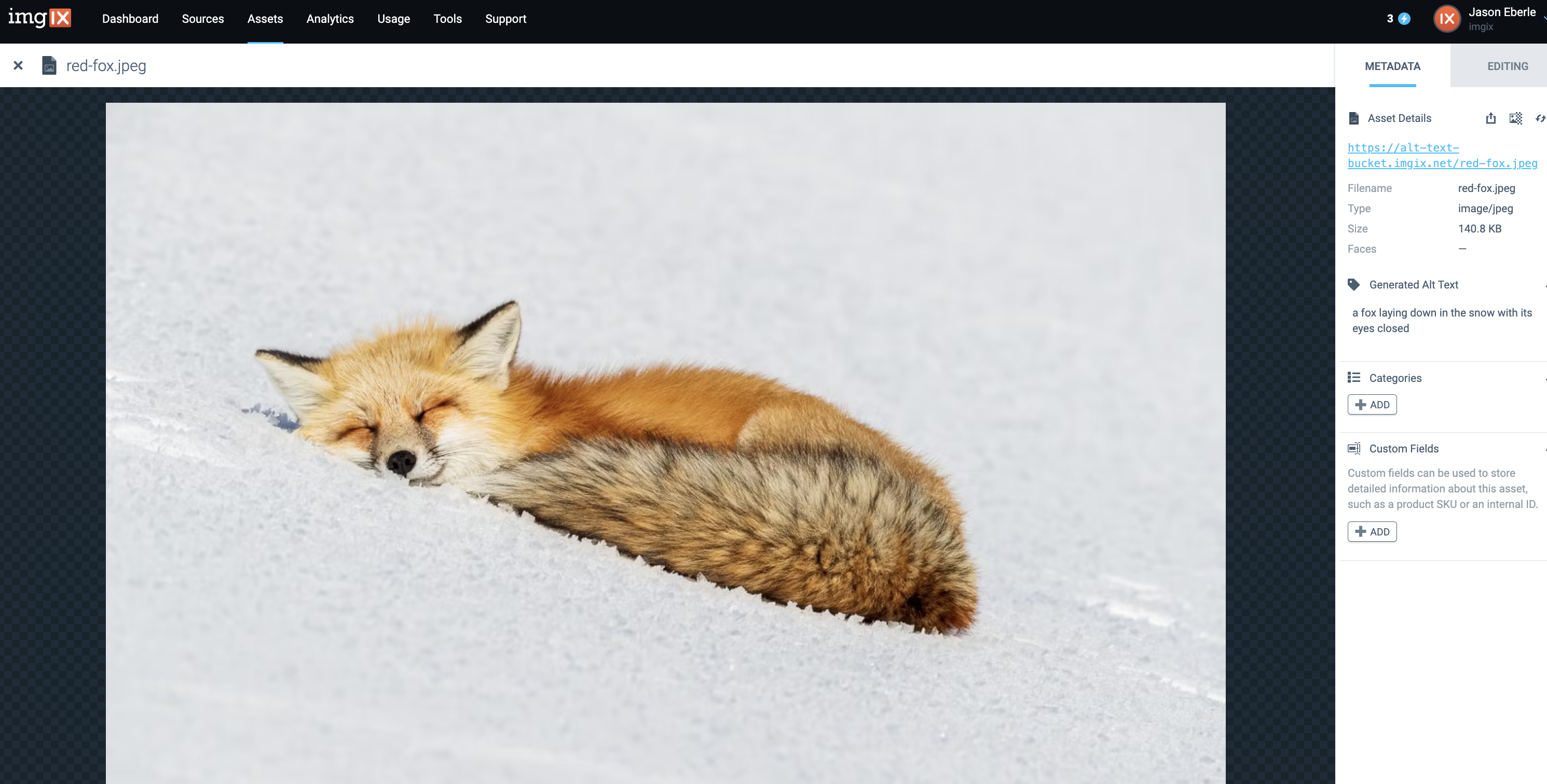 Alternate text example