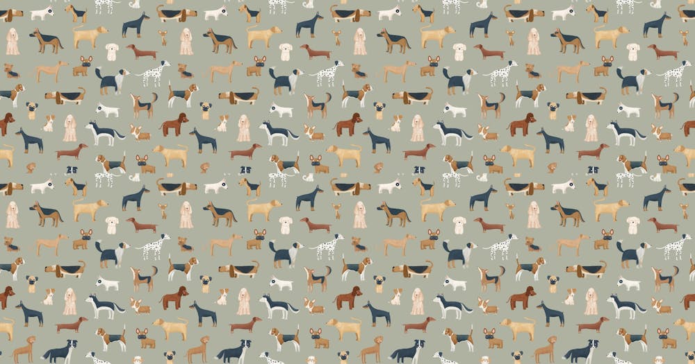 Wallpaper of dogs