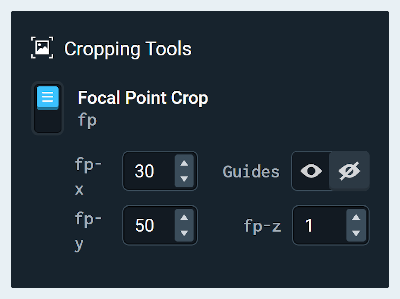 Cropping Tools panel