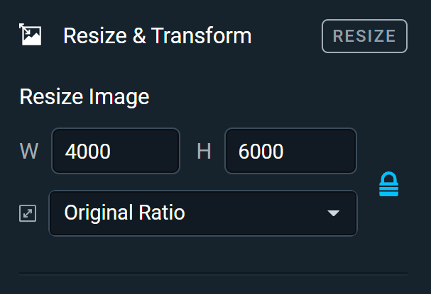 Size properties panel