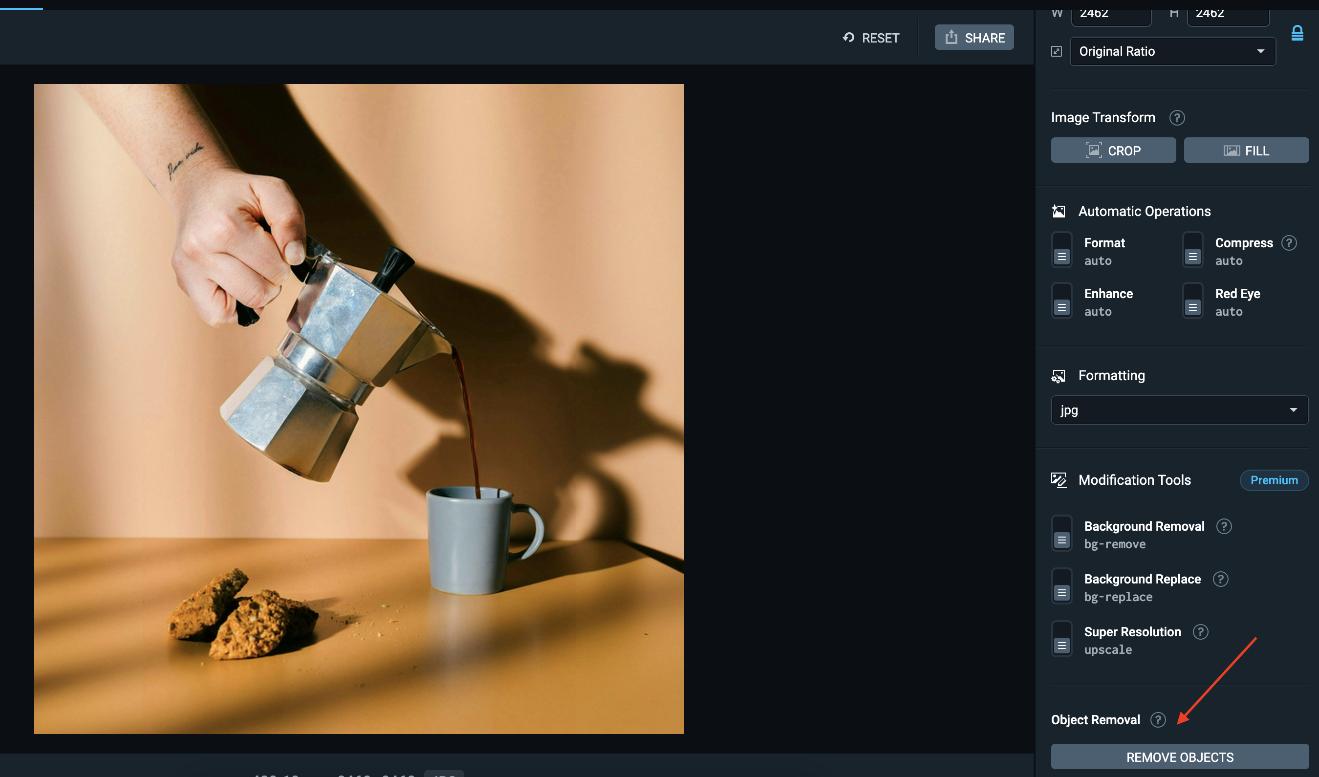 Object Removal interface