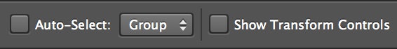 Photoshop auto-select and transform controls