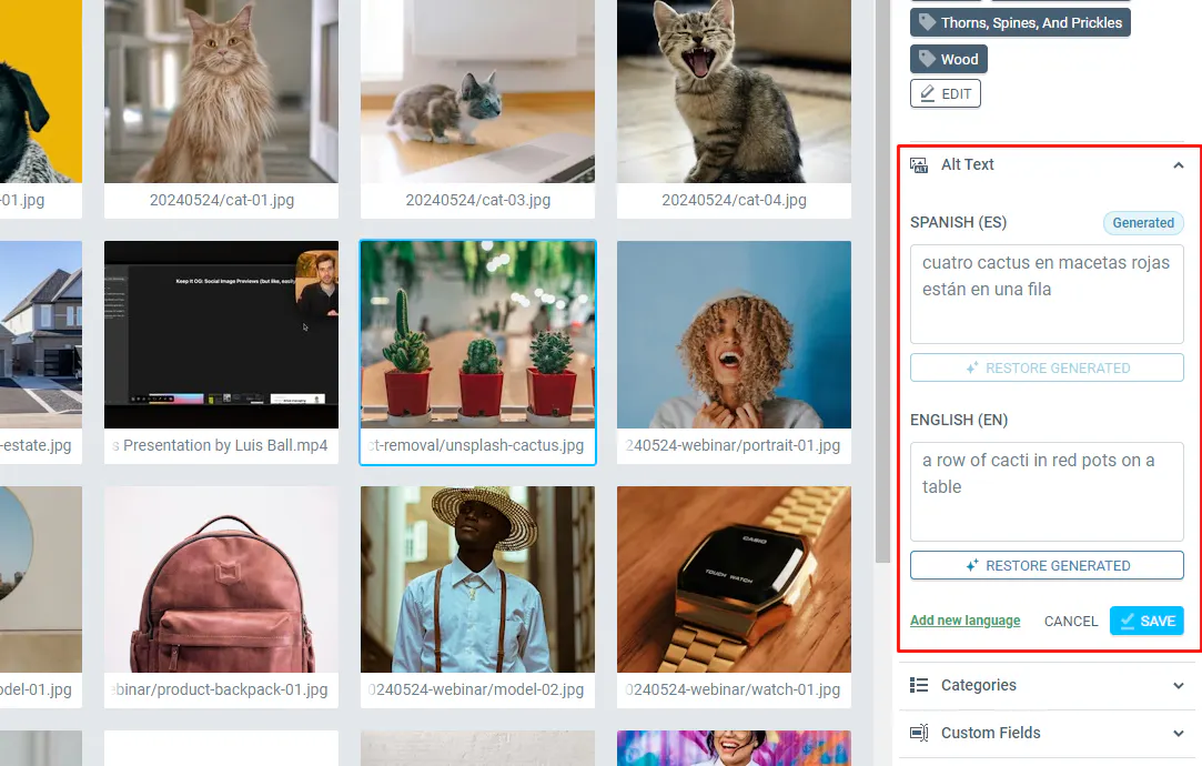 Alt text manual entry
